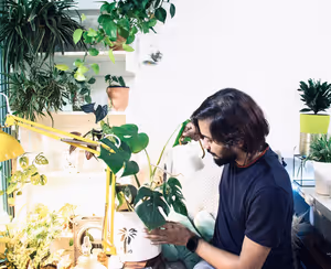 Living Sustainably Begins with Small Everyday Choices