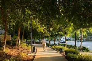 Why Walking Is One of Life's Greatest Simple Pleasures